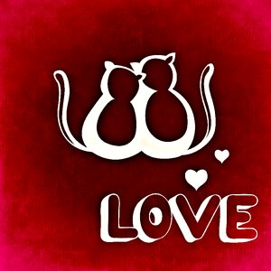 Romance affection feelings