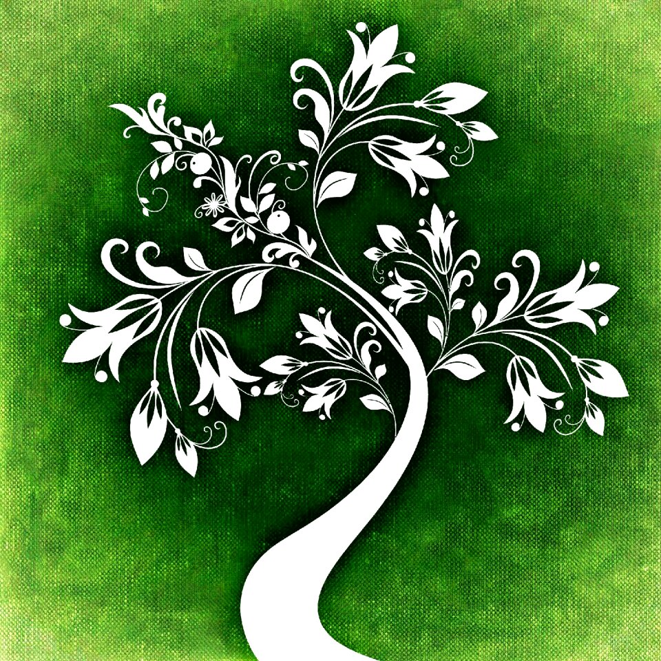 Flowers leaves structure