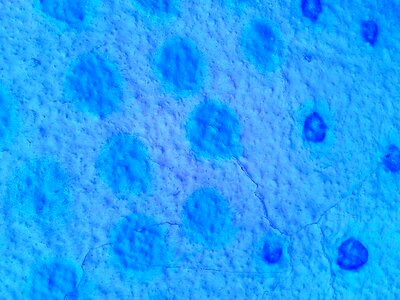 Texture graphics blue