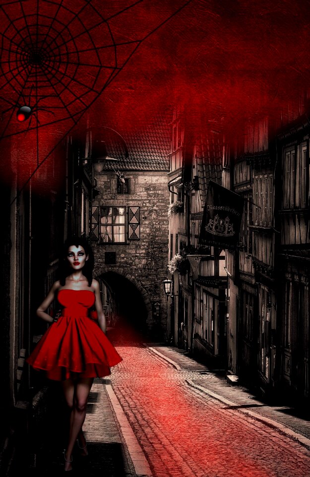 Spider web fantasy