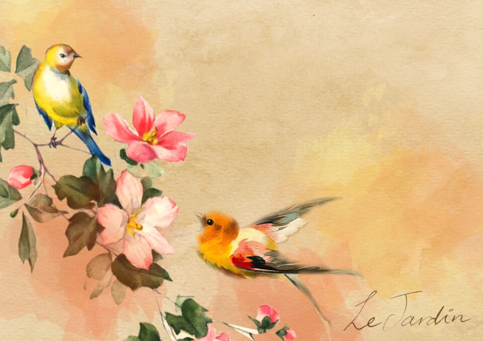 Background nature animal