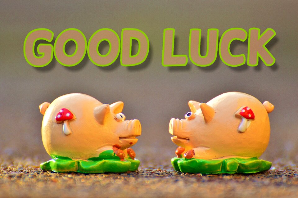 Lettering cute lucky charm