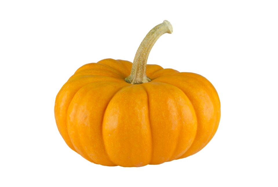 Autumn seasonal food