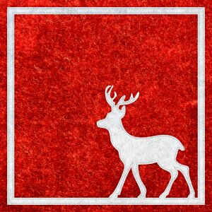 Christmas greeting christmas motif advent