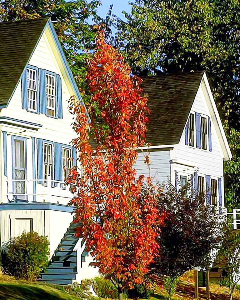 Estate home property