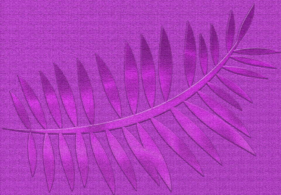 Pink texture beautiful pink Free illustrations
