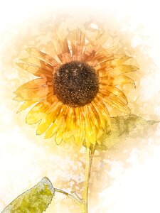 Plants yellow flora