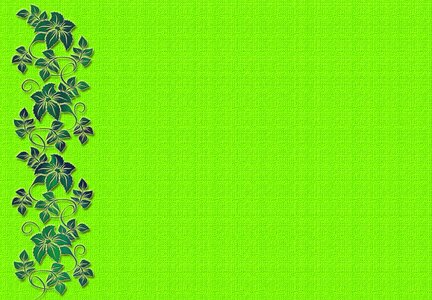 Card flower Free illustrations