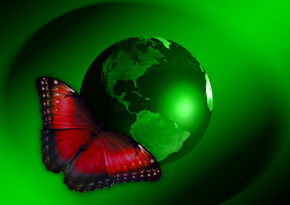 World planet continents