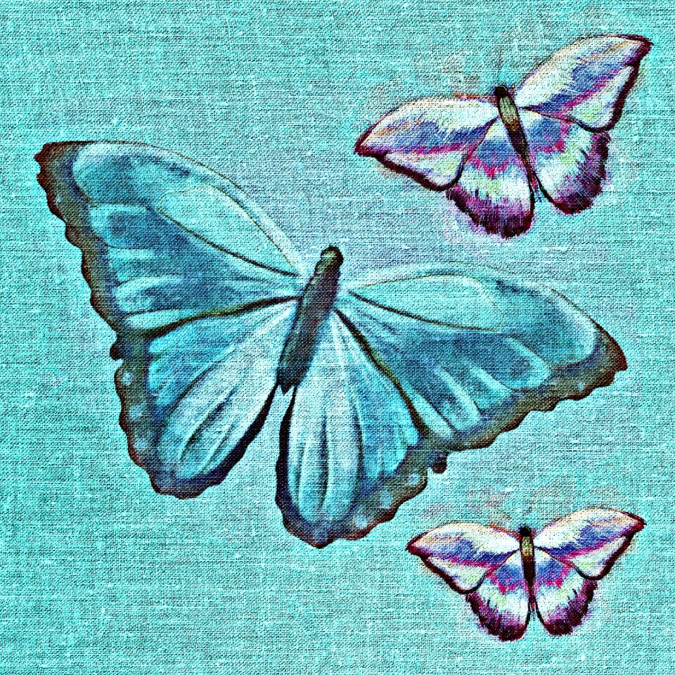 Textile wing insect