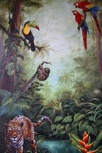 Costa rica animals Free illustrations