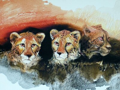 Art cheetah safari
