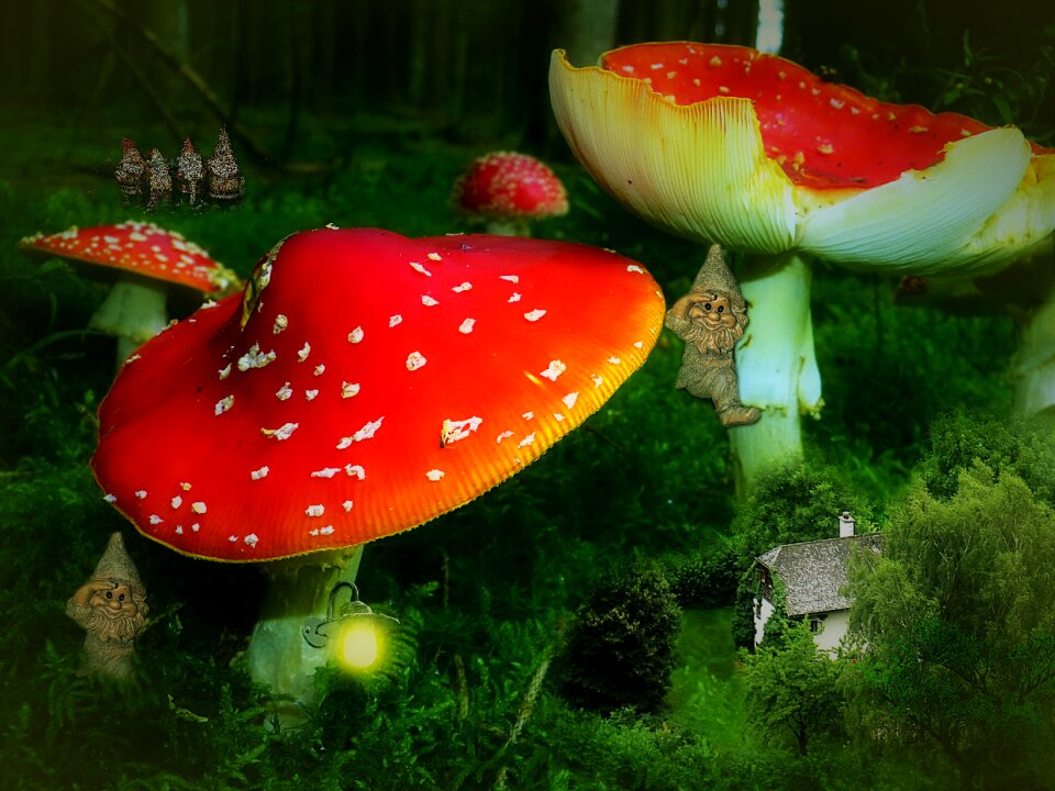 Fairy tales kobold cottage