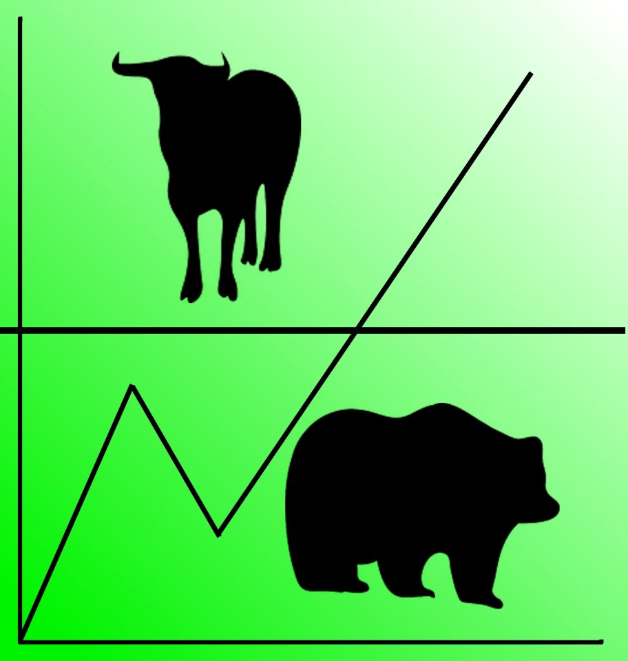 Shares securities speculation