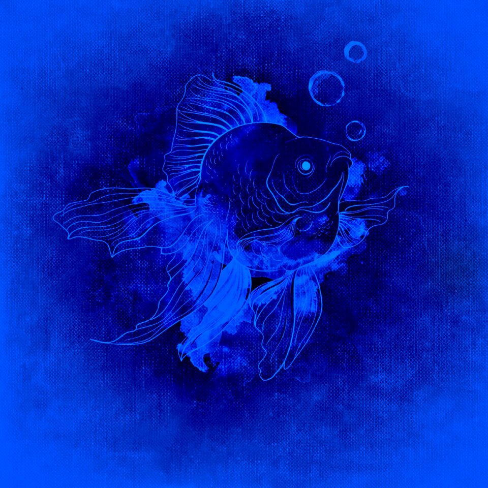 Water marine life Free illustrations