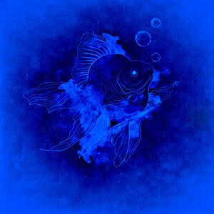 Water marine life Free illustrations