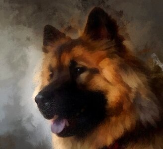 Domestic animal design