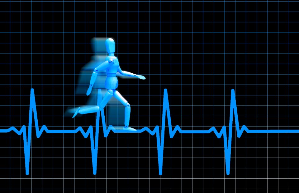 Health doll run
