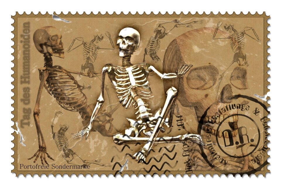Art skeleton anatomy