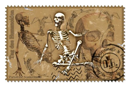 Art skeleton anatomy