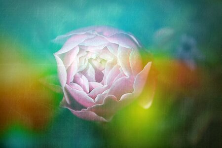 Digital art color fantasy
