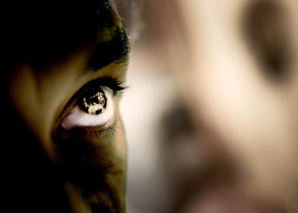 Eye brown eye Free illustrations