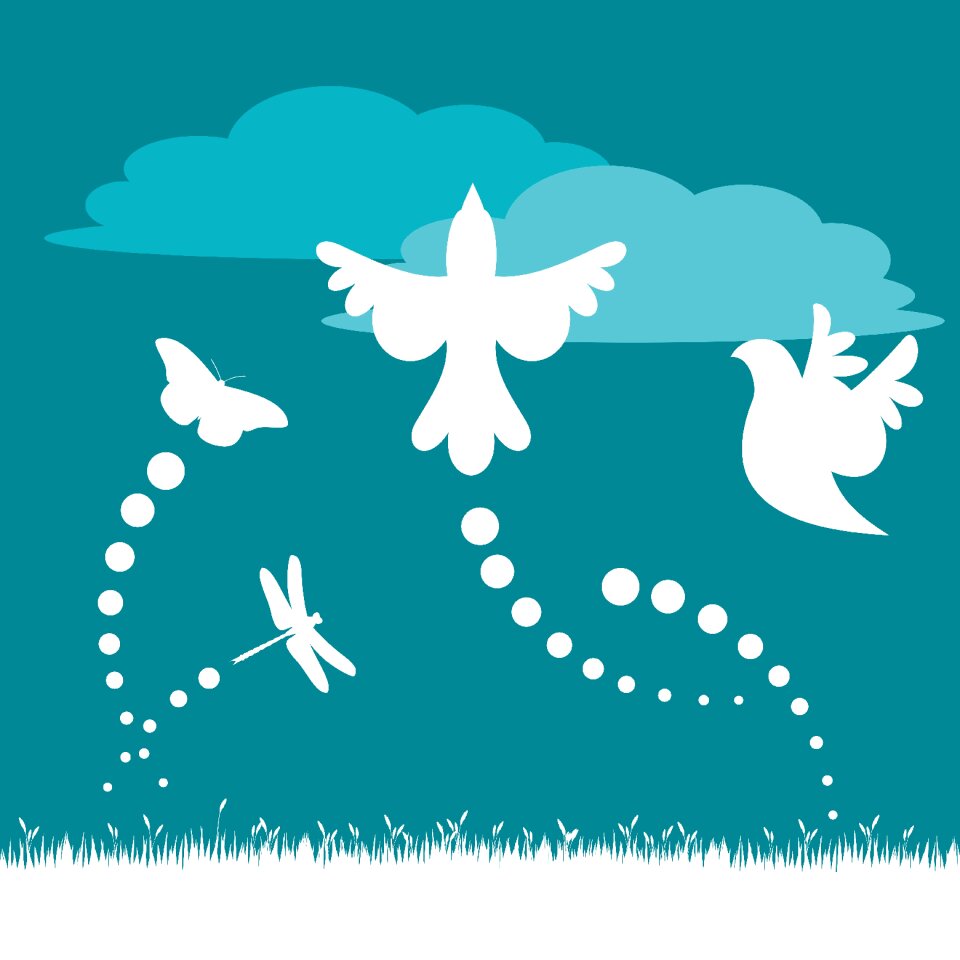 Fly bird grass
