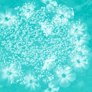 Flower mint Free illustrations