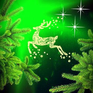 Decoration christmas card the reindeer of santa claus