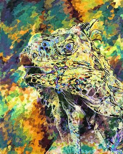 Decorative creative animal