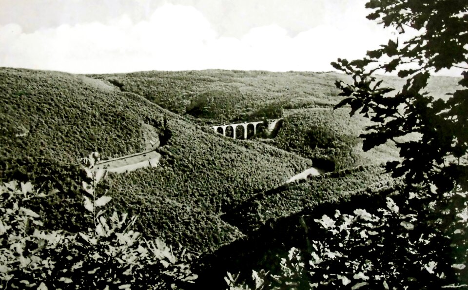 Hunsrückbahn forest boppard