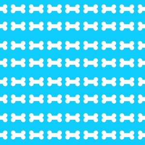 Pet animal blue pets