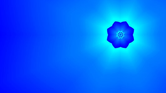 Colours flower design