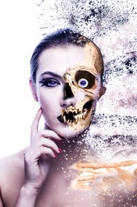 Biology head bone
