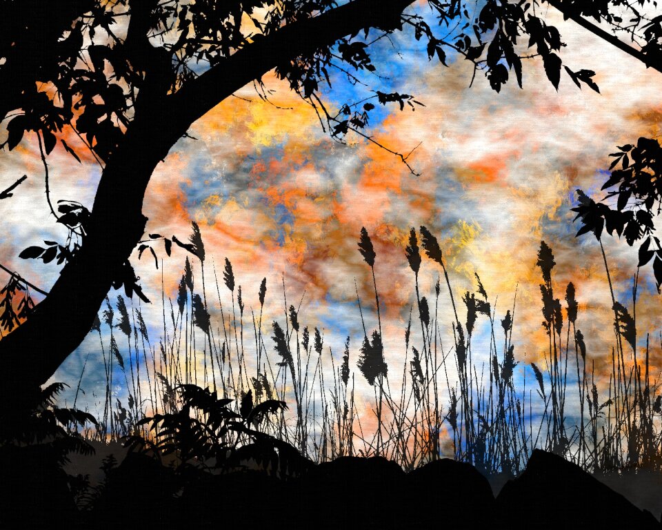 Summer horizon beautiful landscape