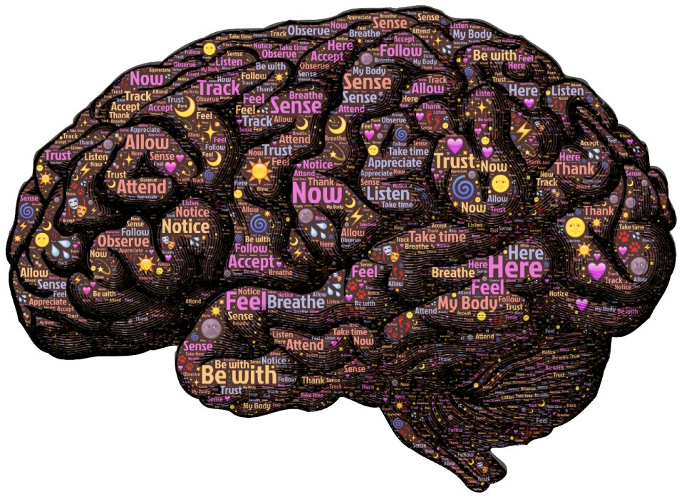 Mind brain mind-body