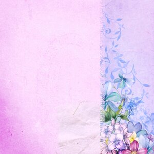 Flower pink backgrounds design