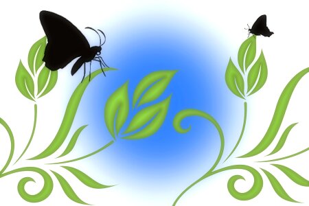 Flowers decor Free illustrations
