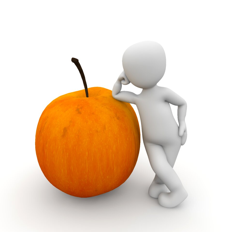 Nutrition health autumn