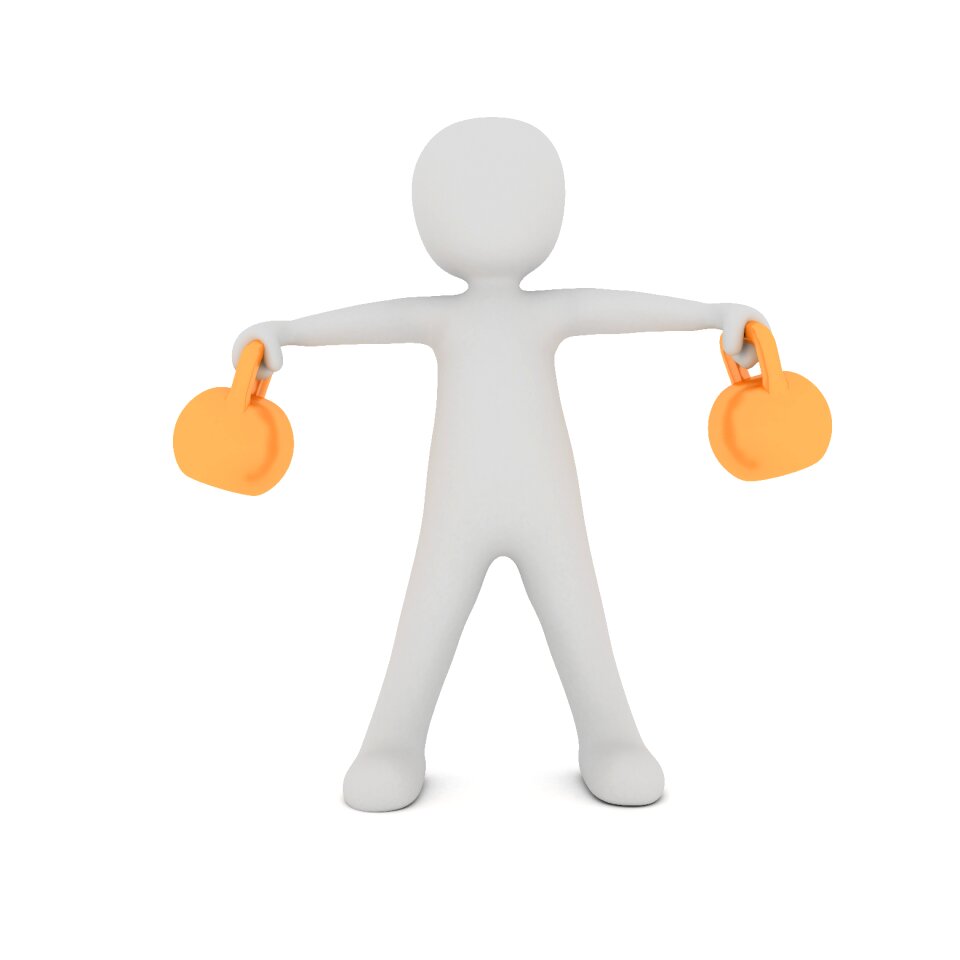 Training fitness studio strength training