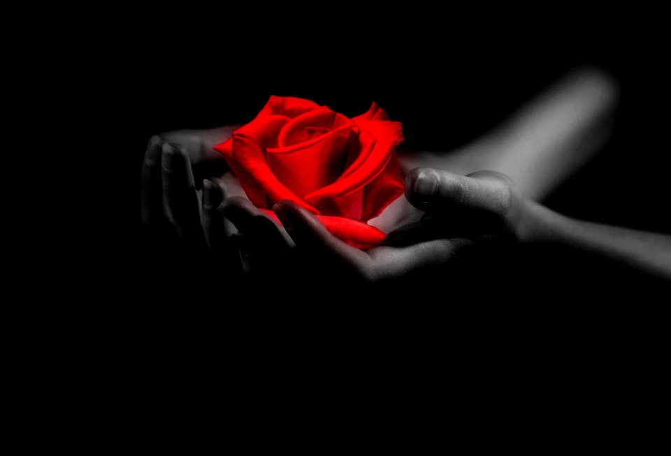 Red romance give
