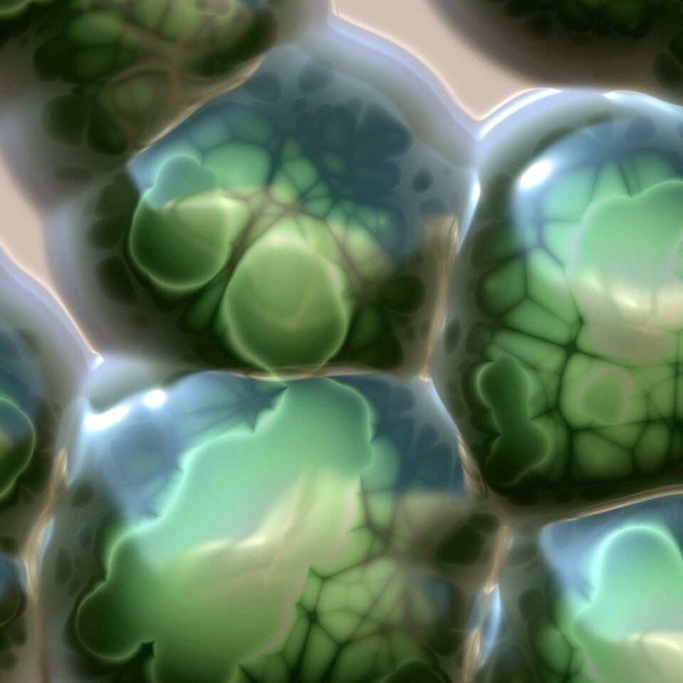Science natural biology