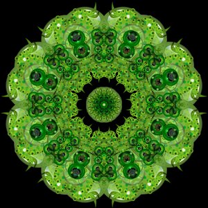 Cylinder green Free illustrations