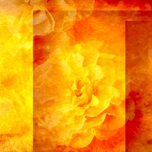 Colorful red yellow