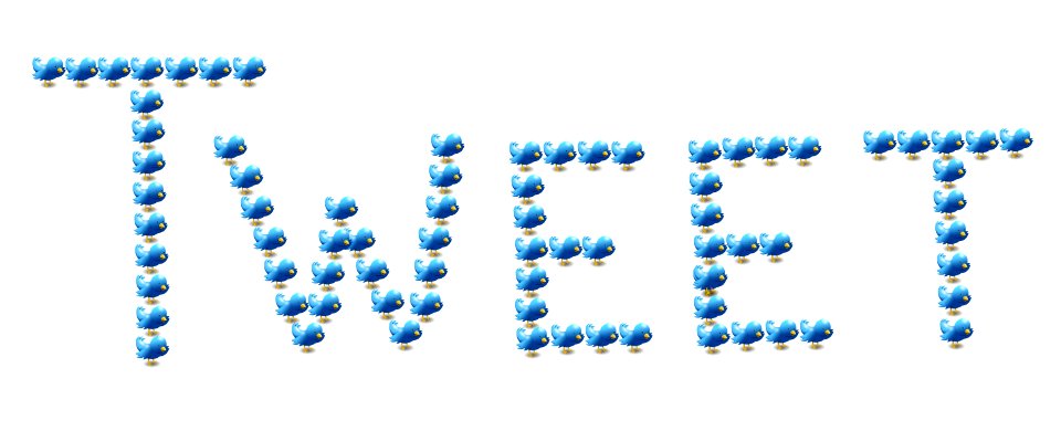 Social web network