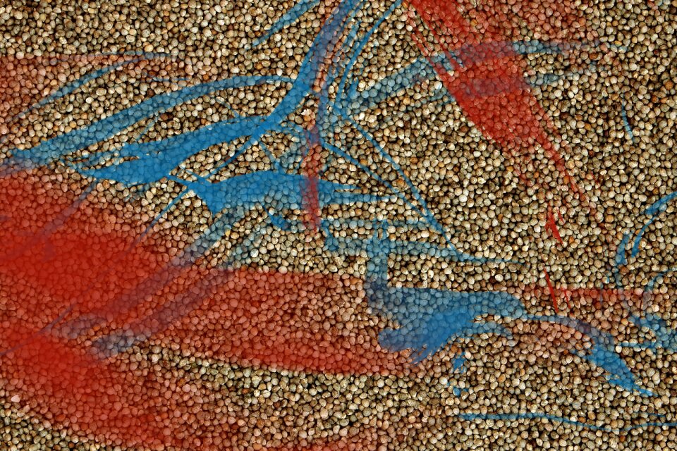 Color colorful art