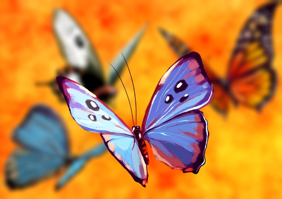 Flying wing background
