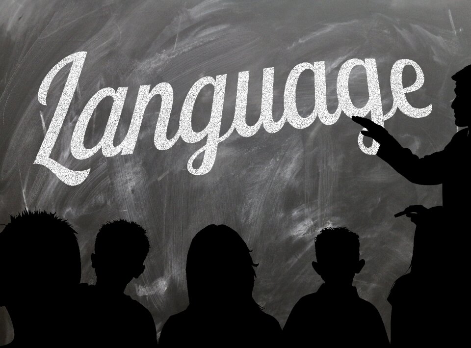 Blackboard teacher teaching