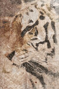 Digital art tiger beast