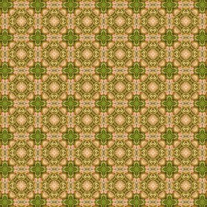 Design green pink
